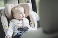 Little Pea_BeSafe_Belt-collector_on_iZi-Modular-i-Size_1